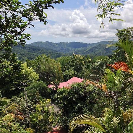 Natuga Ecolodge And Natural Reserve Platanillo Buitenkant foto