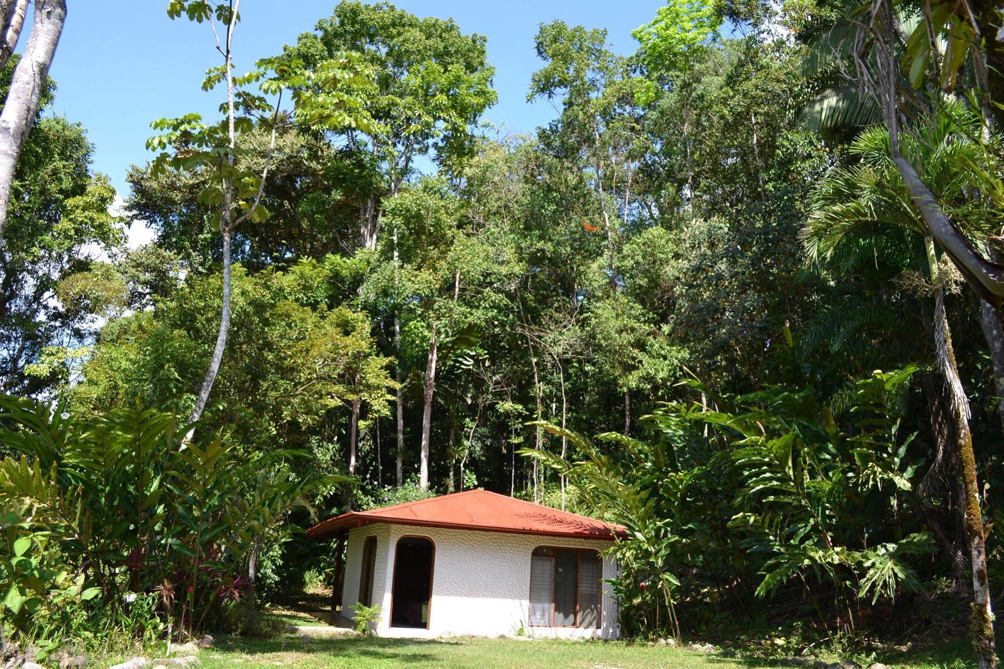 Natuga Ecolodge And Natural Reserve Platanillo Buitenkant foto